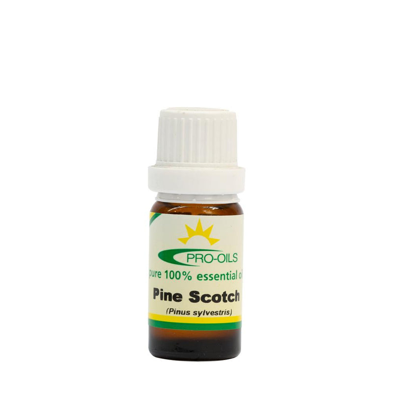 Pro-Oils Essential Oil 12ml: Pine Scotch